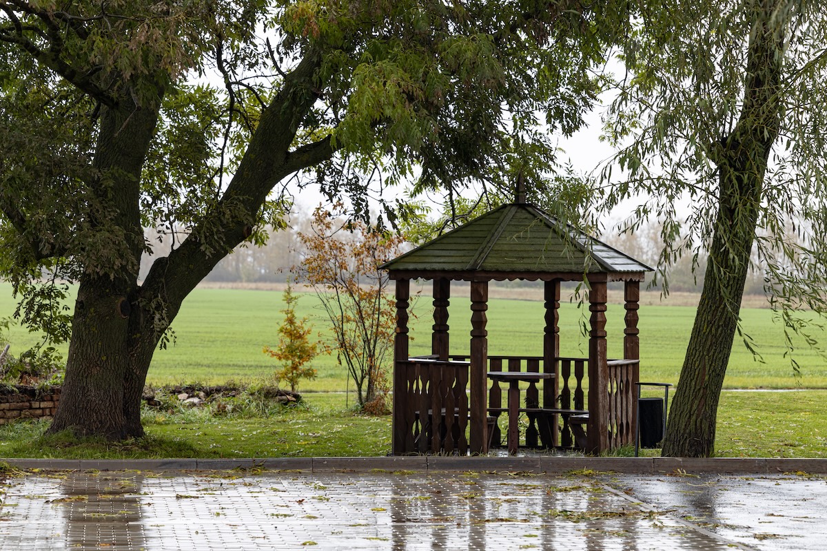 empty gazebo under a tree during the rain. gazebo under a tree