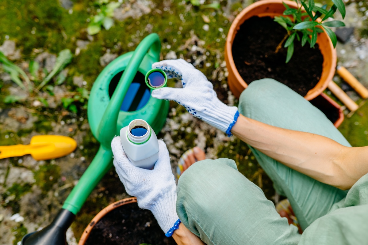 Woman wearing gloves pours liquid mineral fertilizer in watering can with water in backyard. 