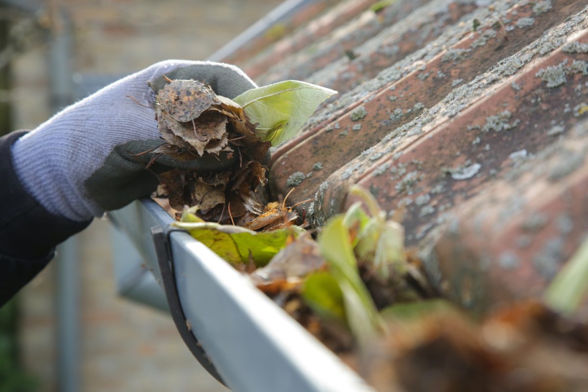 Hand cleaning leaves from a home's roof gutter.