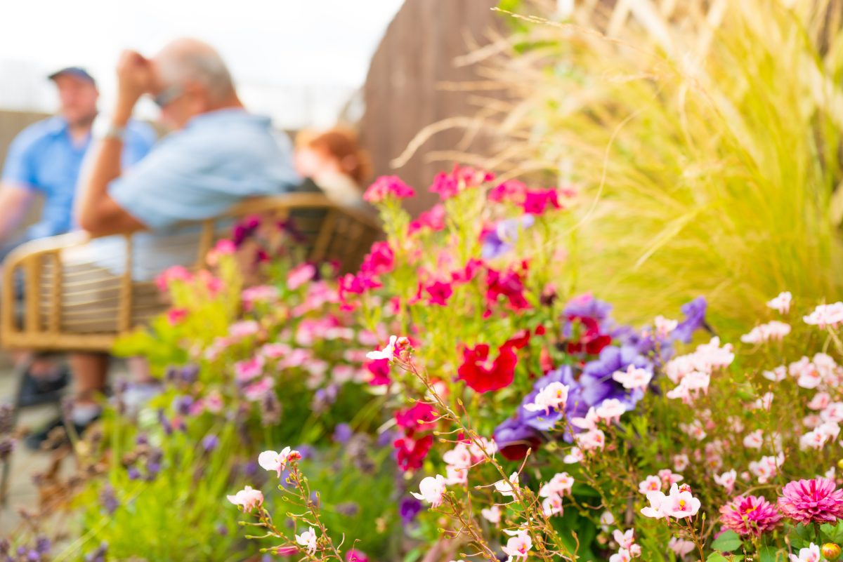 Men sitting outside next to a native plant meadow yard