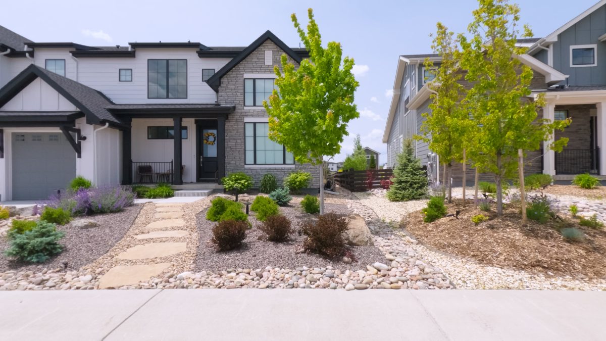 Modern grass-less yard with rocks, mulch, and a variety of plantings