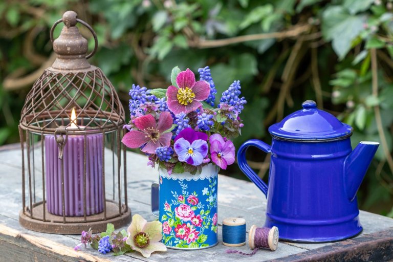 Tabletop garden arrangement with bouquet of purple viola flowers, lenten roses and grape hyacinths, lantern and coffee can.