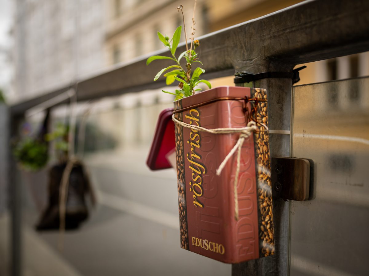 A vintage coffee tin with roasted bean pattern is tied to a metal railing as upcycled hanging planter for a sprouting herb.