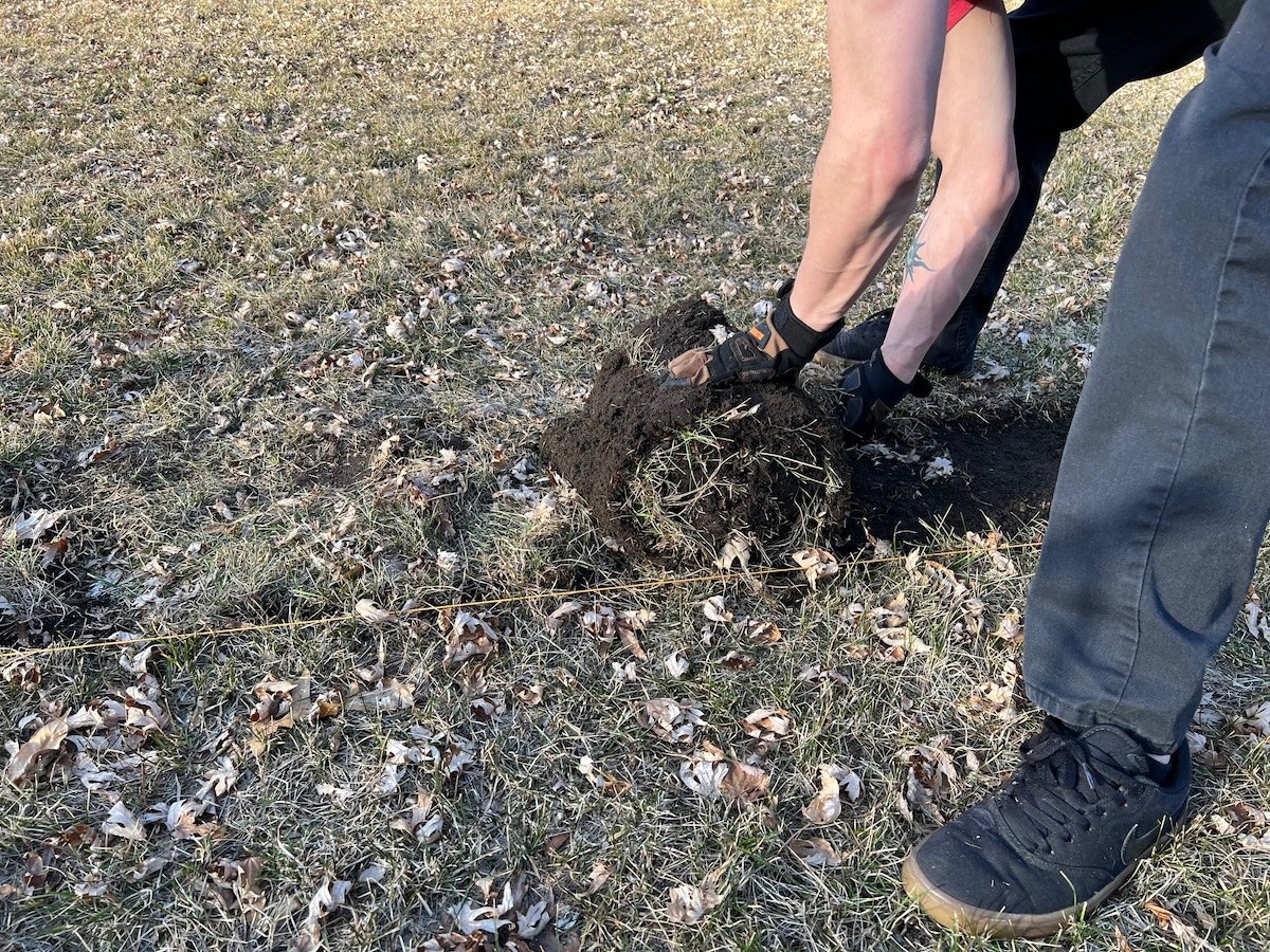 Man picks up a roll of sod cut by a sod kicker.