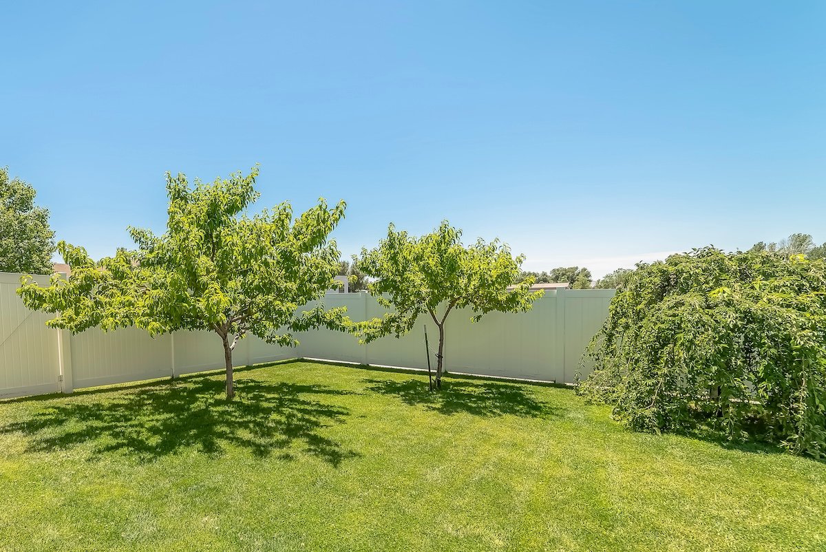 Yard of a home with lush grasses and small trees against blue sky on a sunny day.