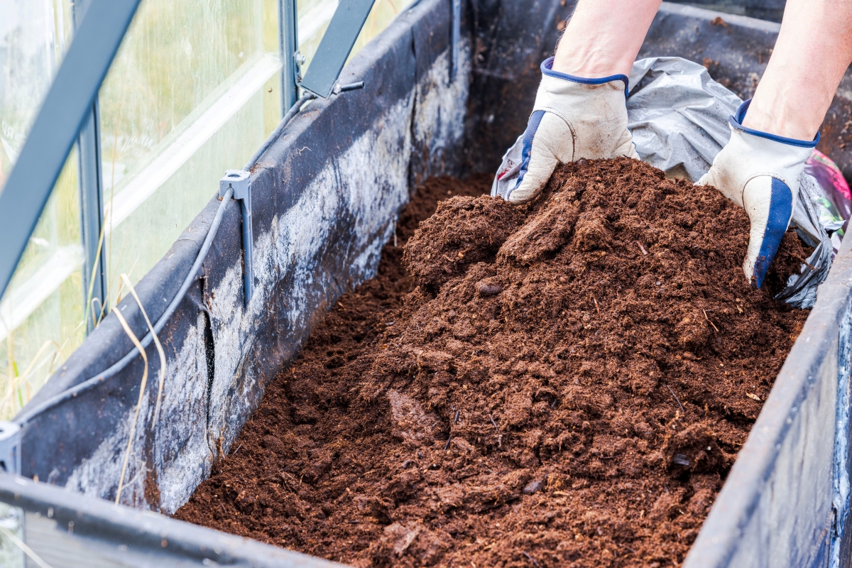 Person adding bagged soil into garden bed inside greenhouse using gloves for planting preparation.