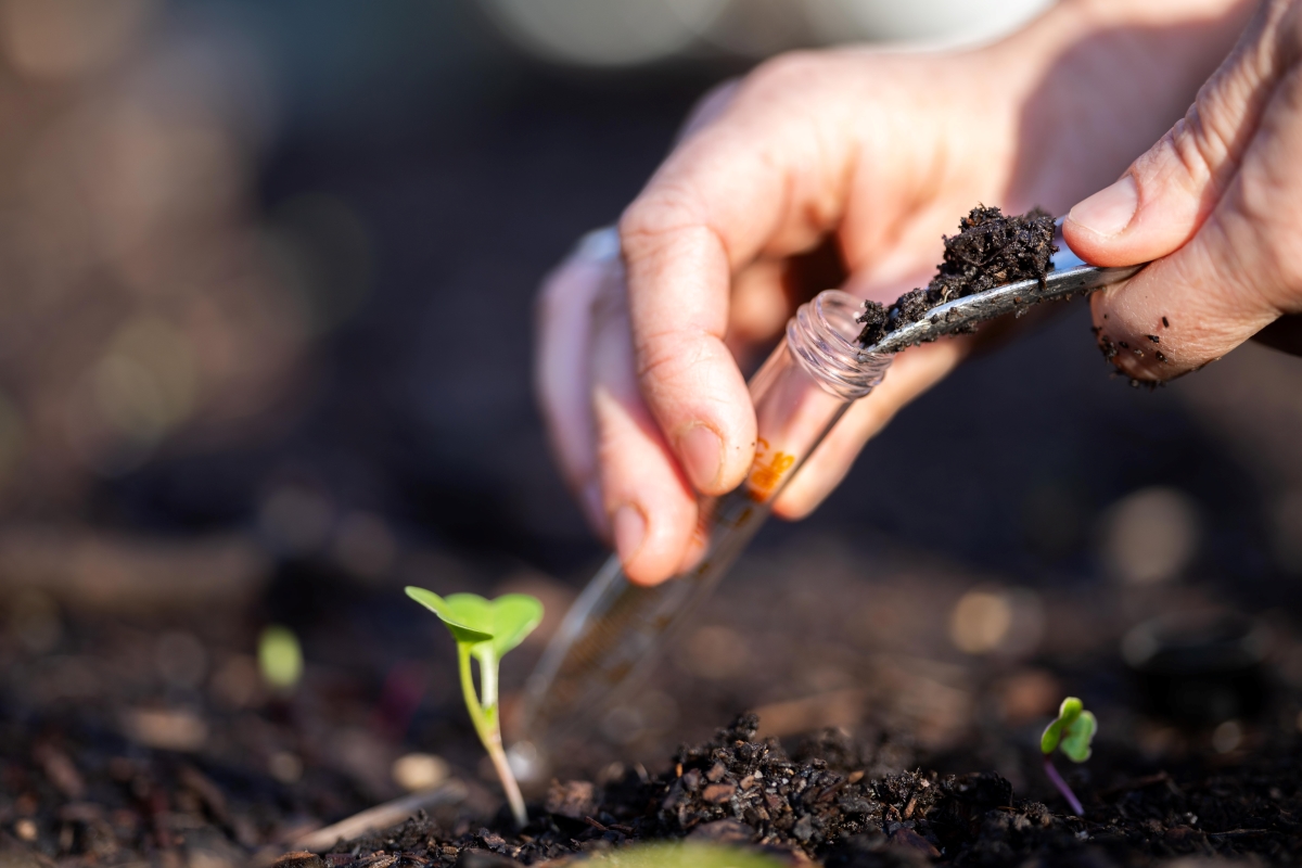 A person is taking a soil sample for a soil test in a field.