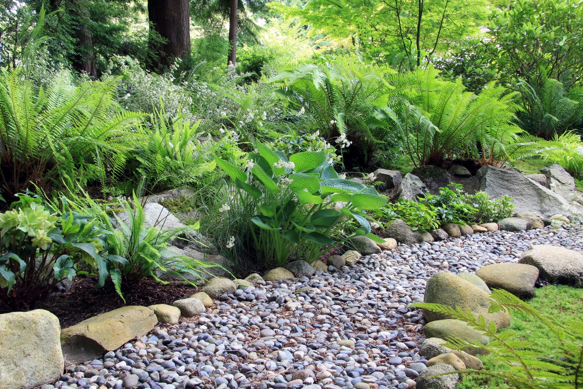 Landscaping Under Trees: 13 Favorite Plants That Thrive in Shade