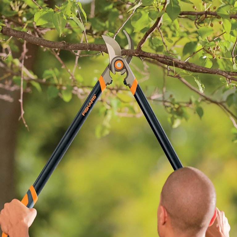Amazon Deals Garden Tools Fiskars 30-Inch Forged Bypass Lopper