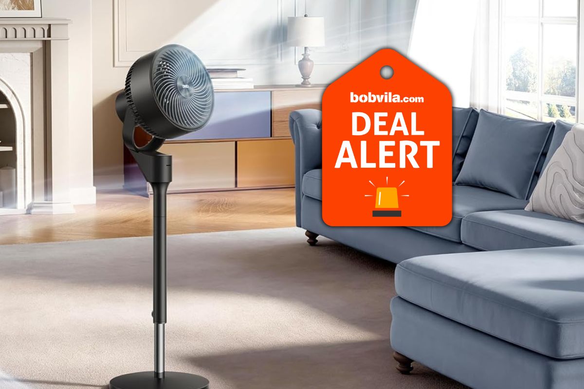 Amazon Slashed Fan Prices to Clearance Levels for Summer—Save Up to 41% Off Lasko, Dreo, Shark, and More