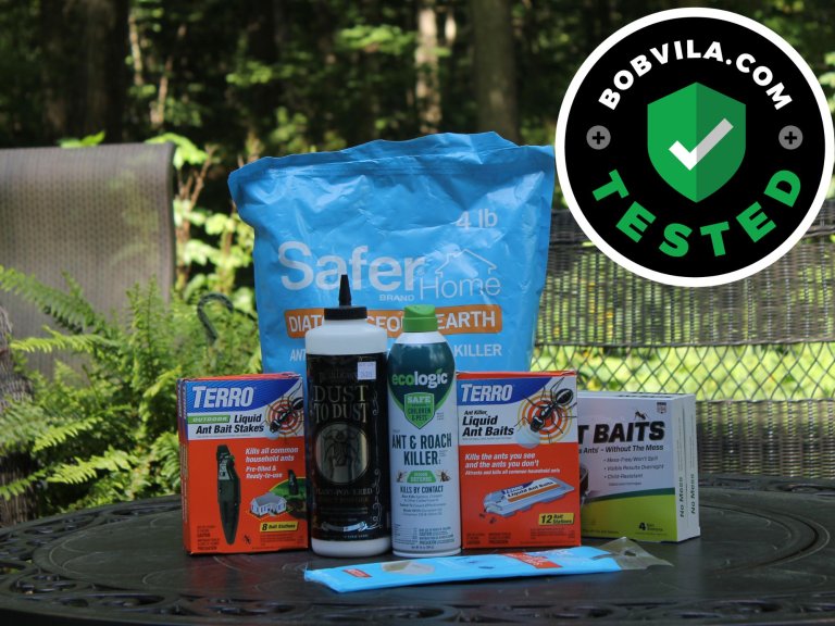 A group of the best ant killers on an outdoor table before testing