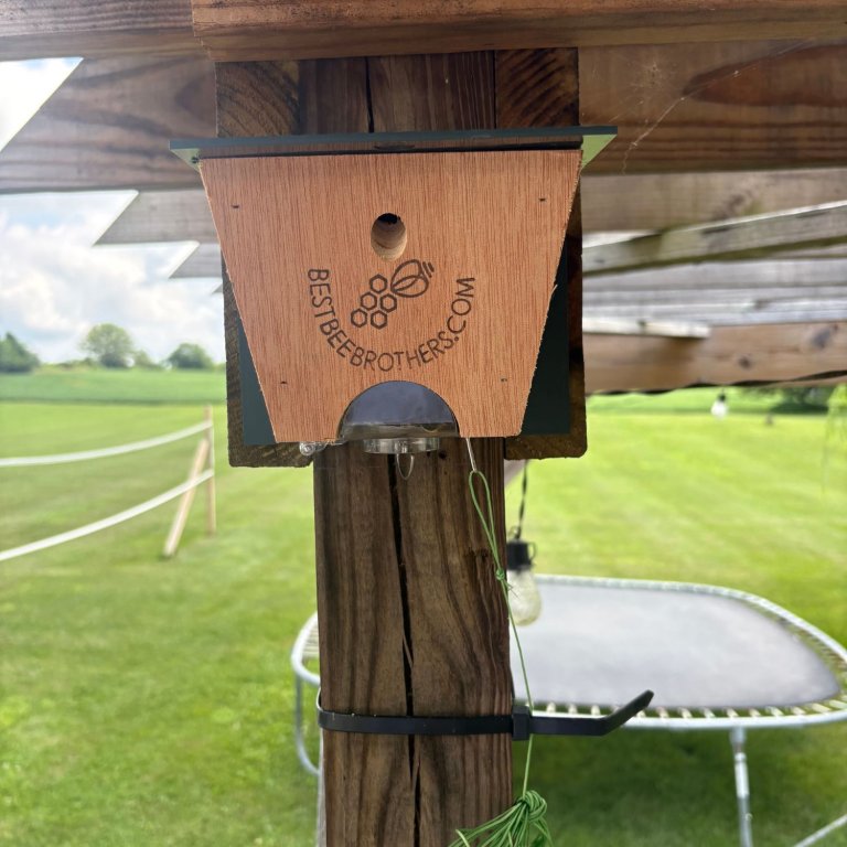 Best Bee Brothers Carpenter Bee Trap mounted on a deck outside