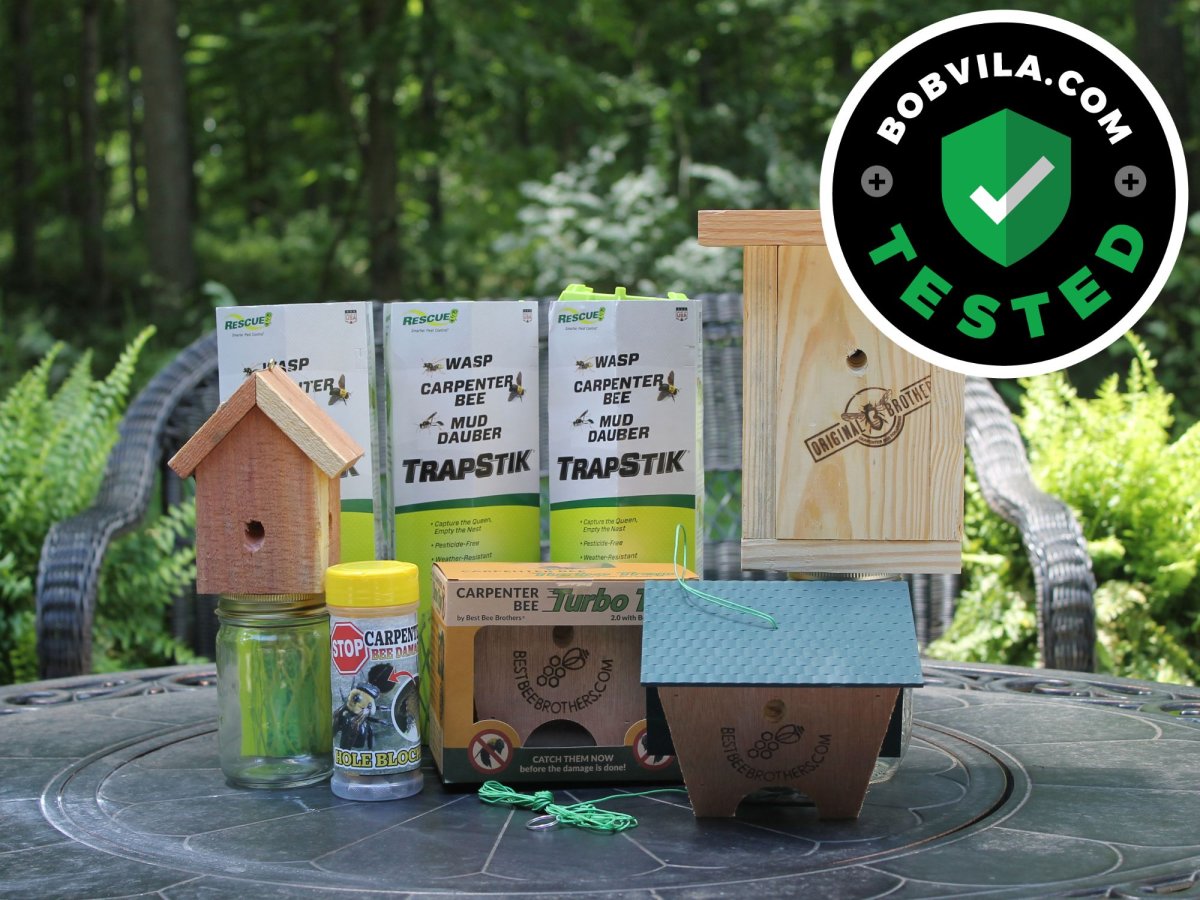 Best Carpenter Bee Trap