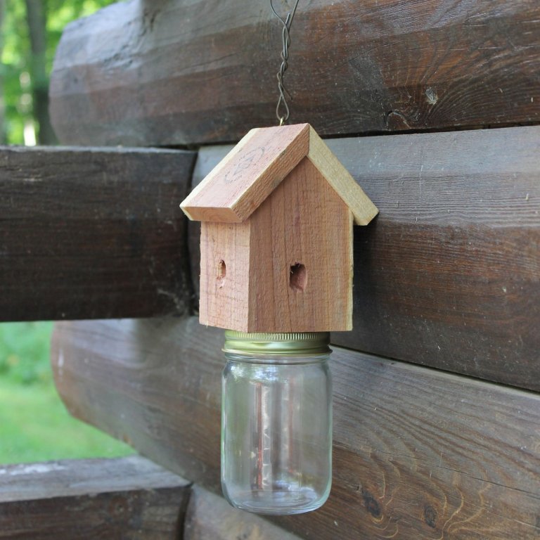 Best Carpenter Bee Trap Option Hawthorn Innovations carpenter bee trap