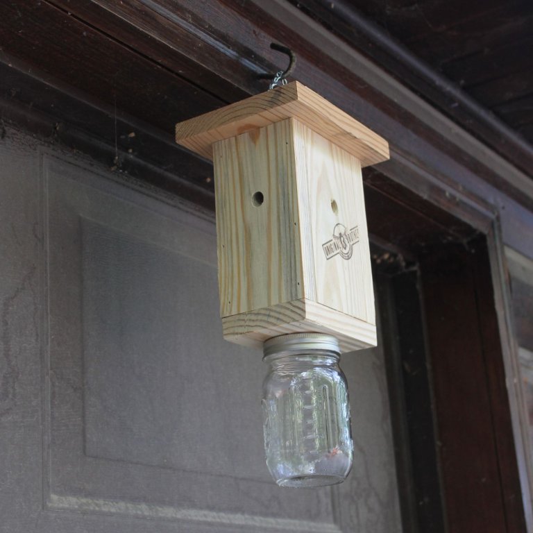 Best Carpenter Bee Trap Option Original B Brother Trap