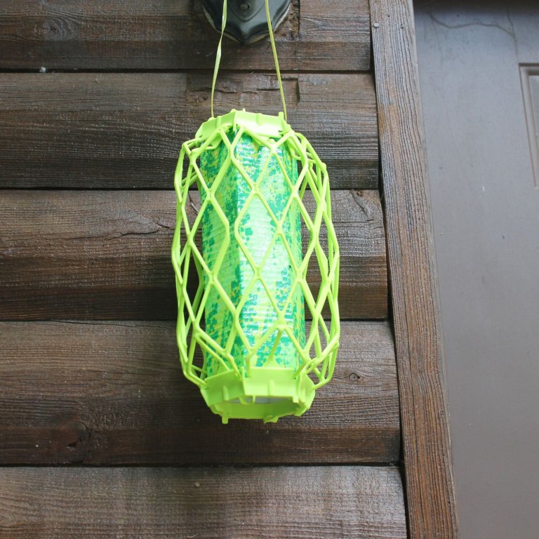 Best Carpenter Bee Trap Option Rescue Visilure Trapstik up close