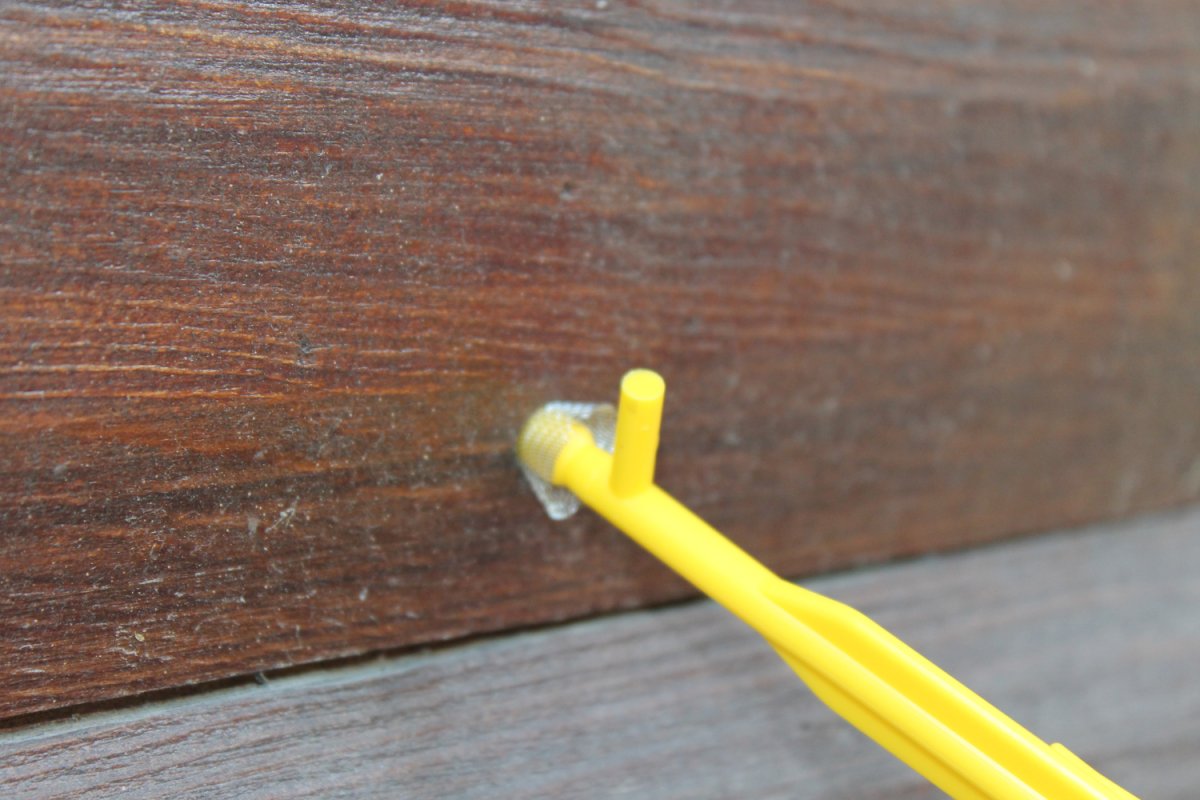 Carpenter Bee Blocker on a carpenter bee hole