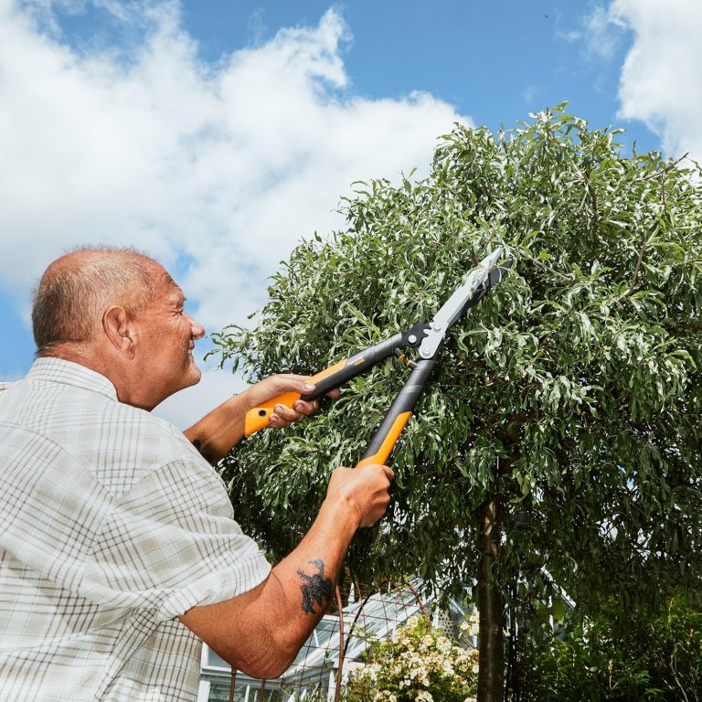 A person the Fiskars Powergear2 23-Inch Hedge Shears to trim a small tree as a way to improve curb appeal