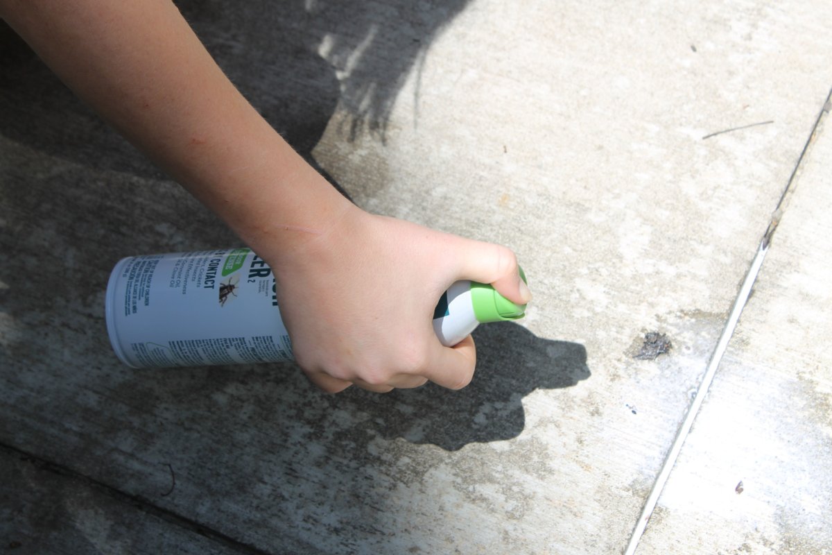 A person spraying Ecologic Ant and Roach Killer on a sidewalk during testing