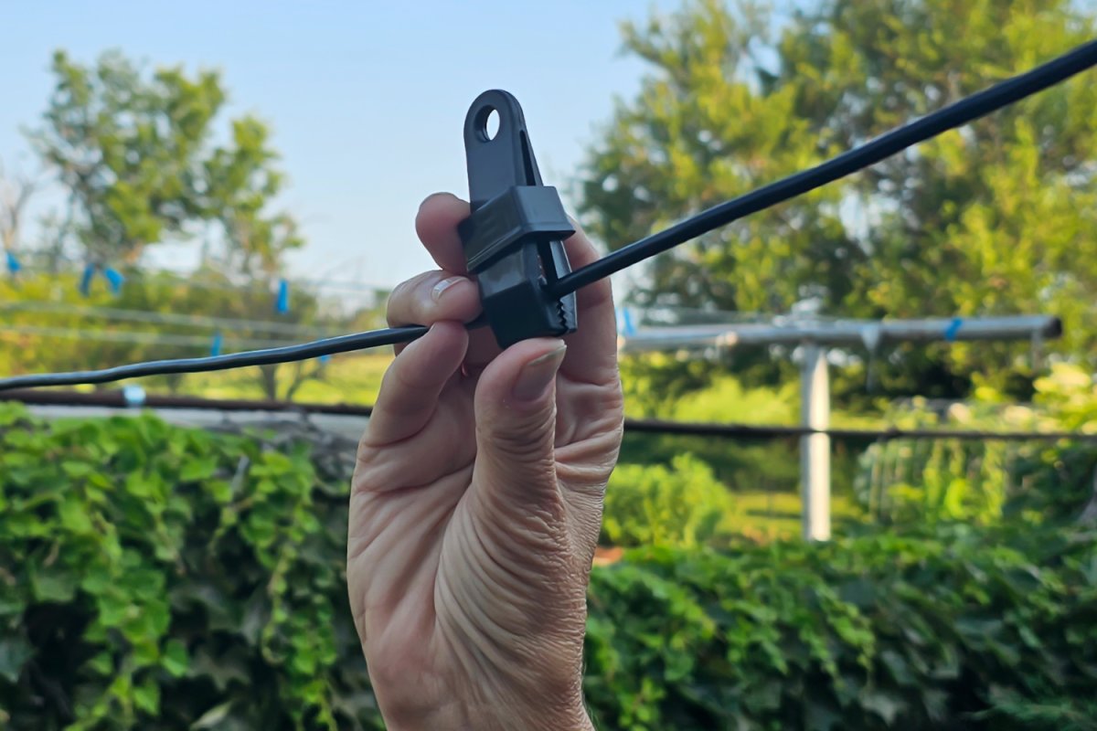 Enbrighten clips for hanging lights