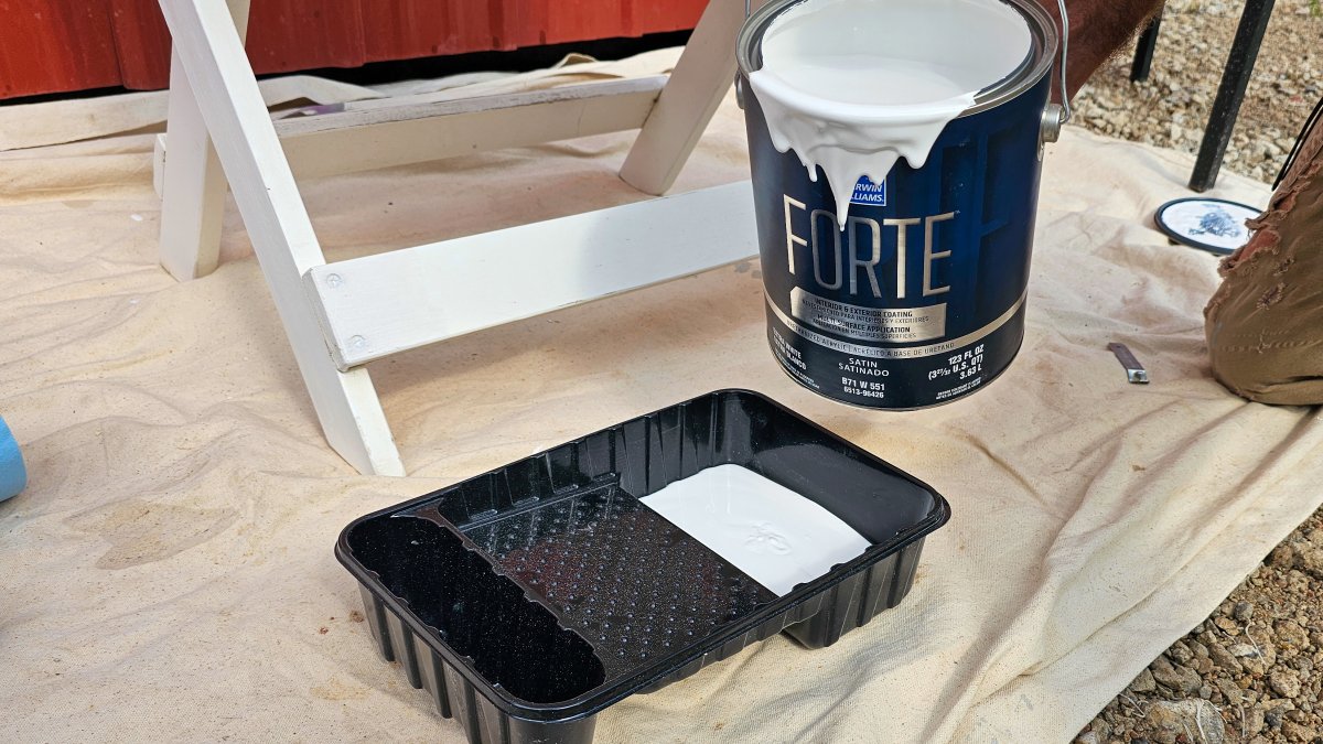 Filling roller tray with Sherwin-Williams Forte Paint