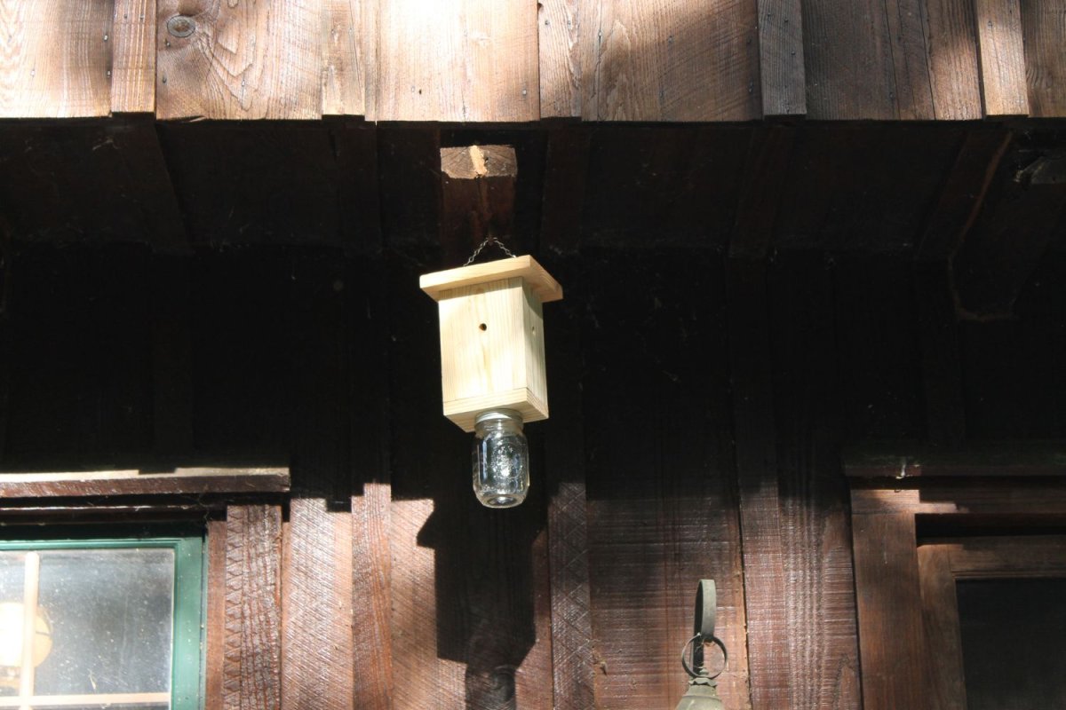 Original B Brothers carpenter bee trap hanging on wooden house