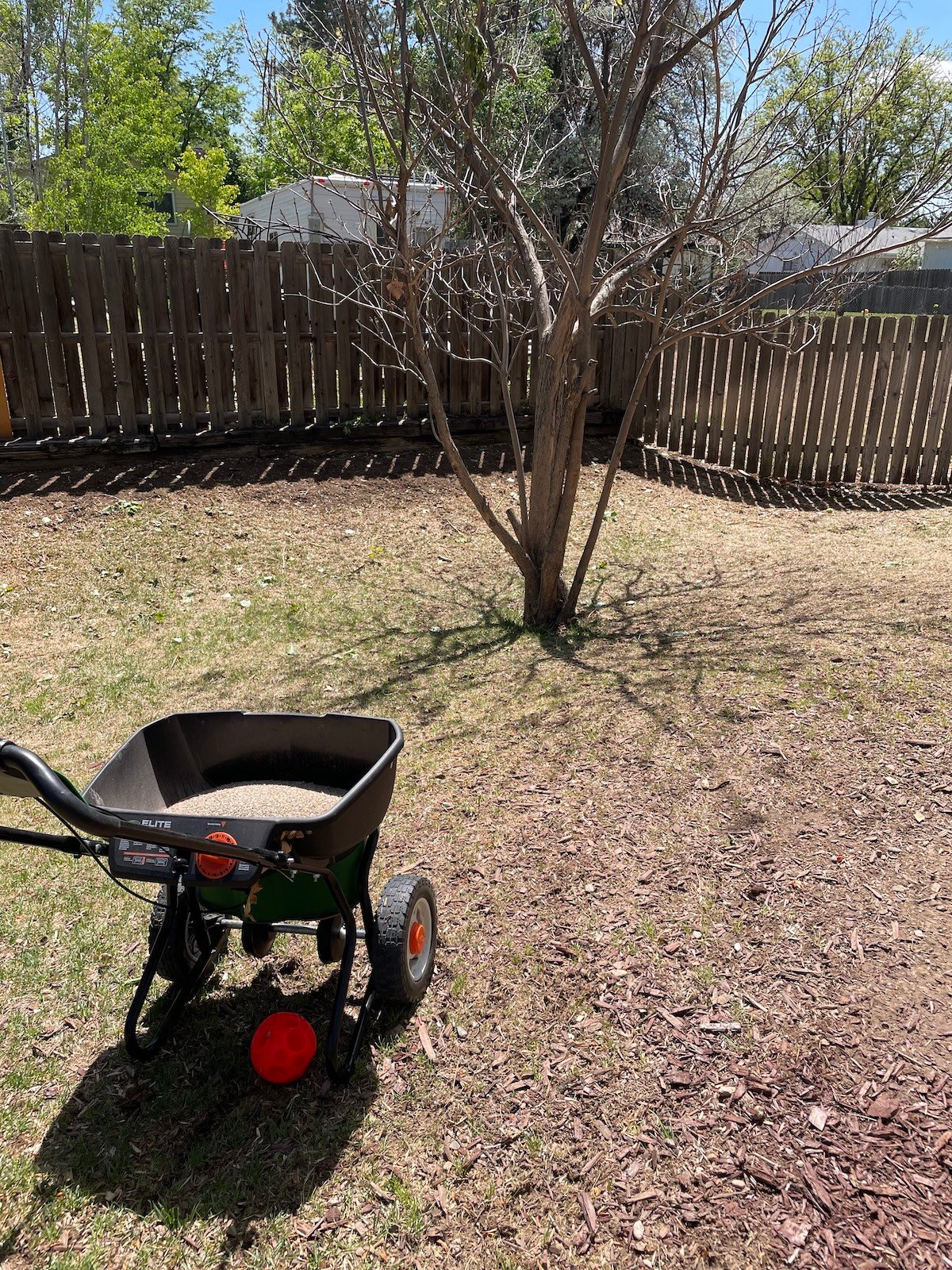 Overseeding patchy lawn with Scotts Turf Builder Thick’R Lawn Grass Seed