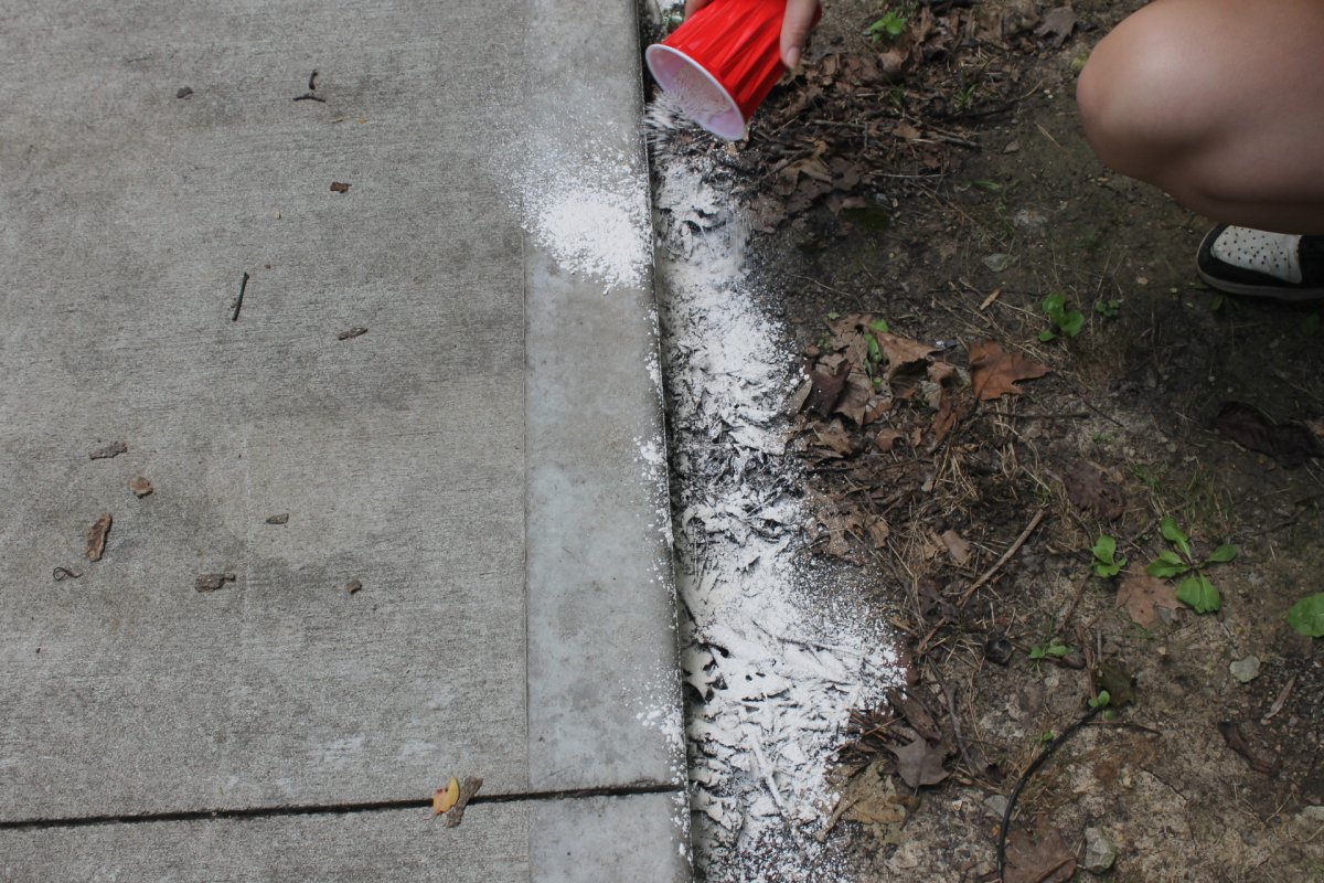 A person sprinkling Safer Brand Diatomaceous Earth around a patio perimeter during testing