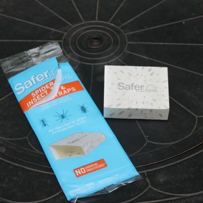A Safer Brand Insect trap on a table next to its packaging before testing