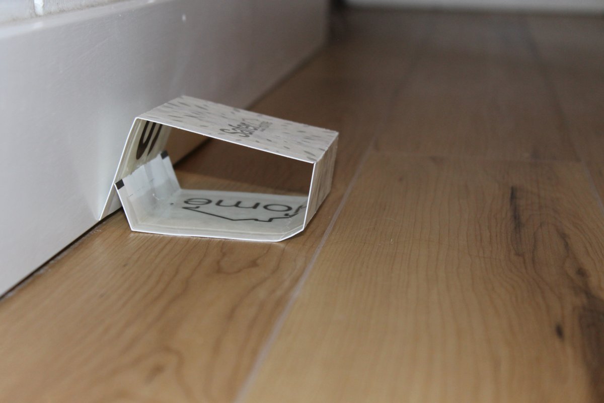 A Safer Brand insect traps set up to catch ants near a baseboard during testing