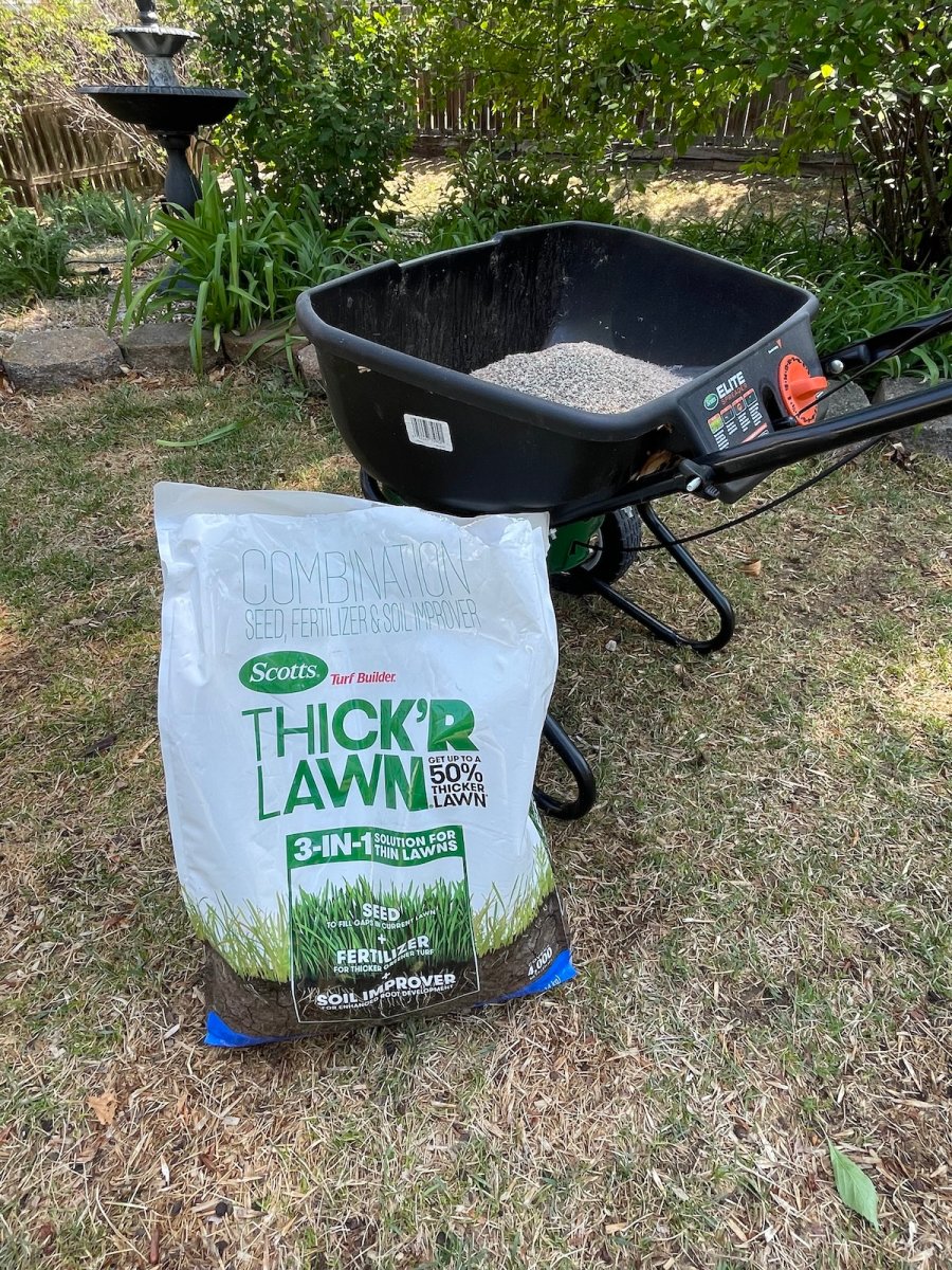Scotts Turf Builder Thick’R Lawn Grass Seed next to a seed spreader during testing