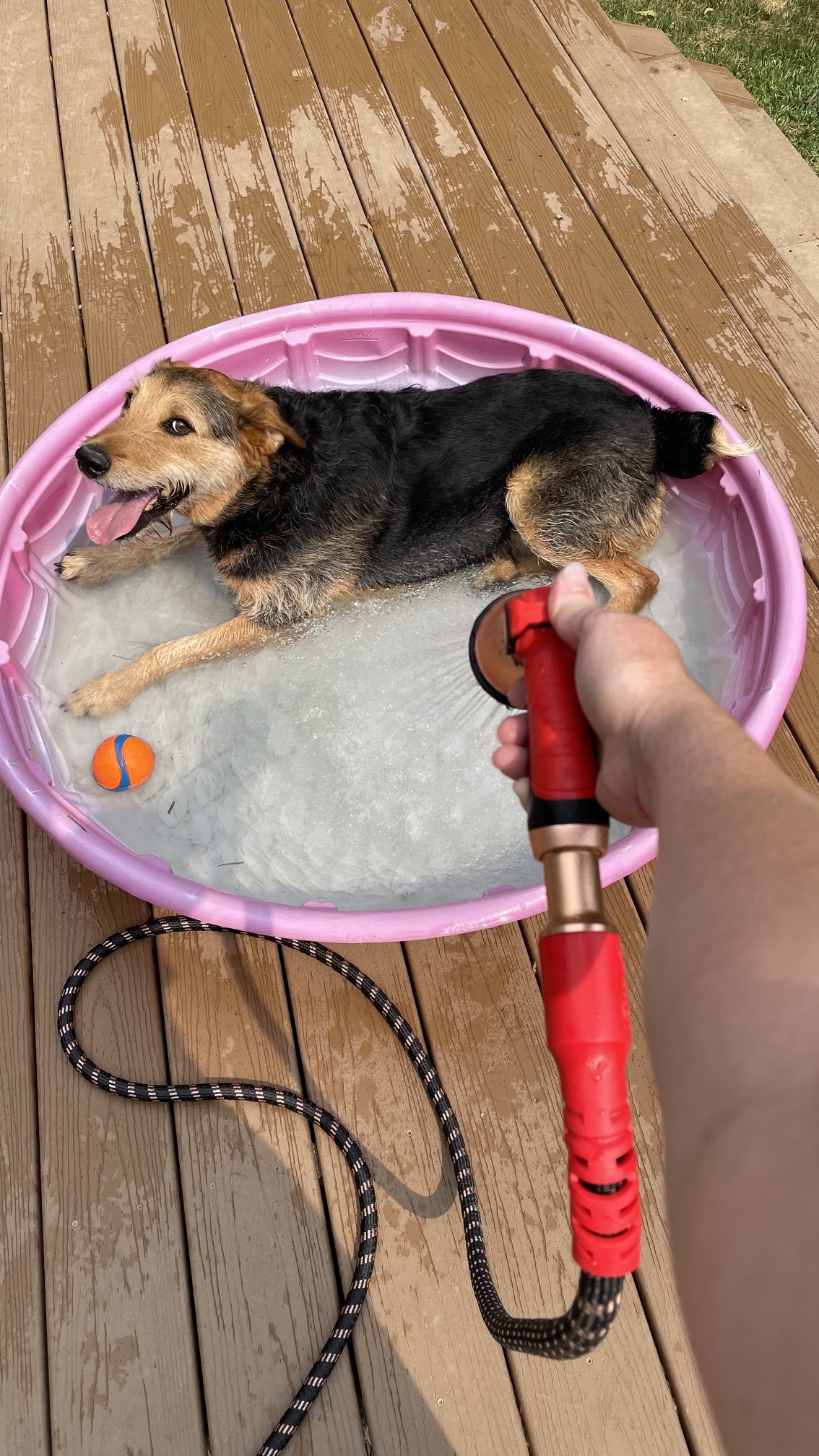 Using the Pocket Hose 75-Foot Copper Head Expandable Garden Hose nozzle to fill a dog pool