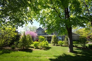 Beautiful two-story home shaded by mature trees.