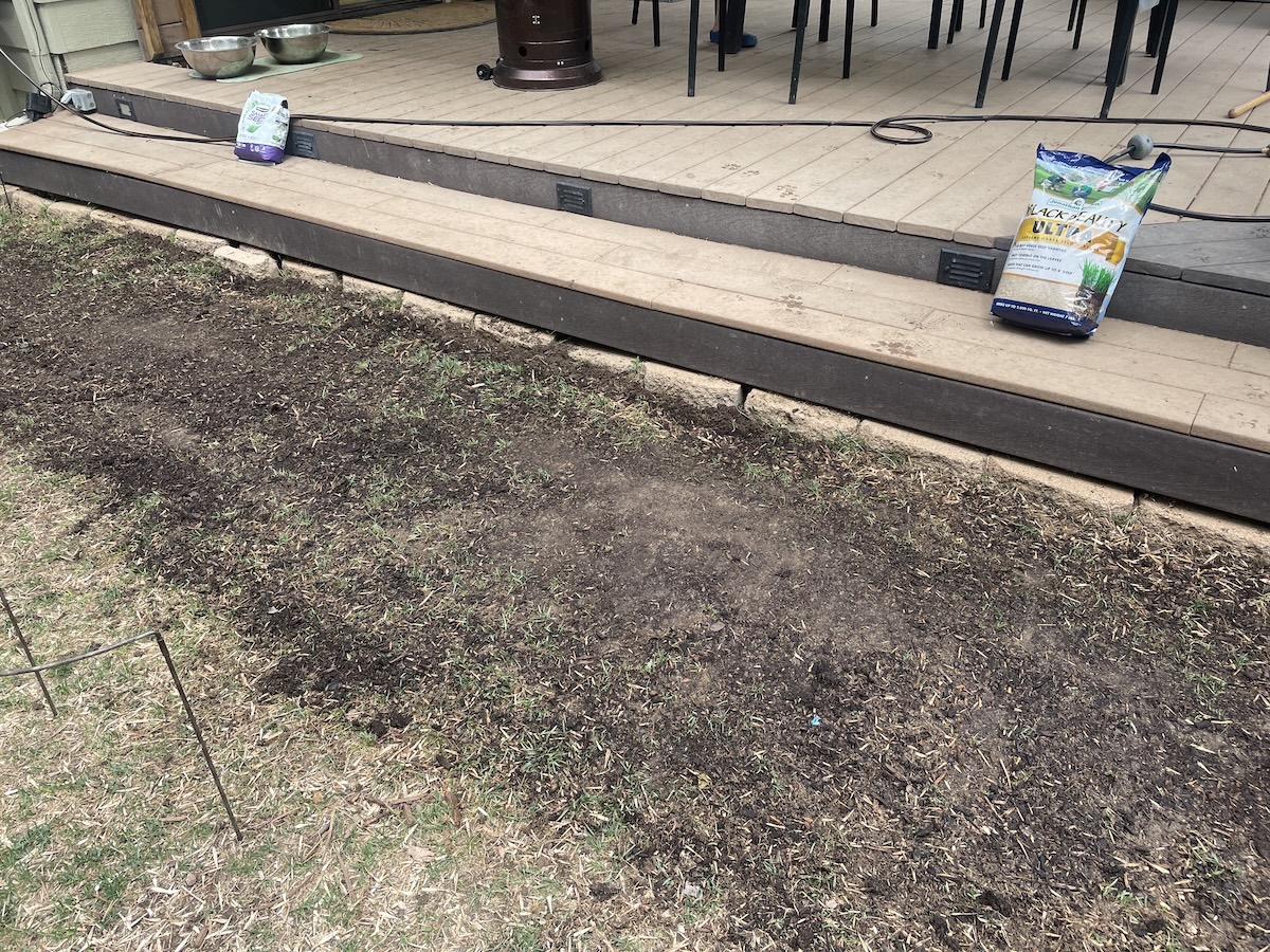 preparing shady side for seeding