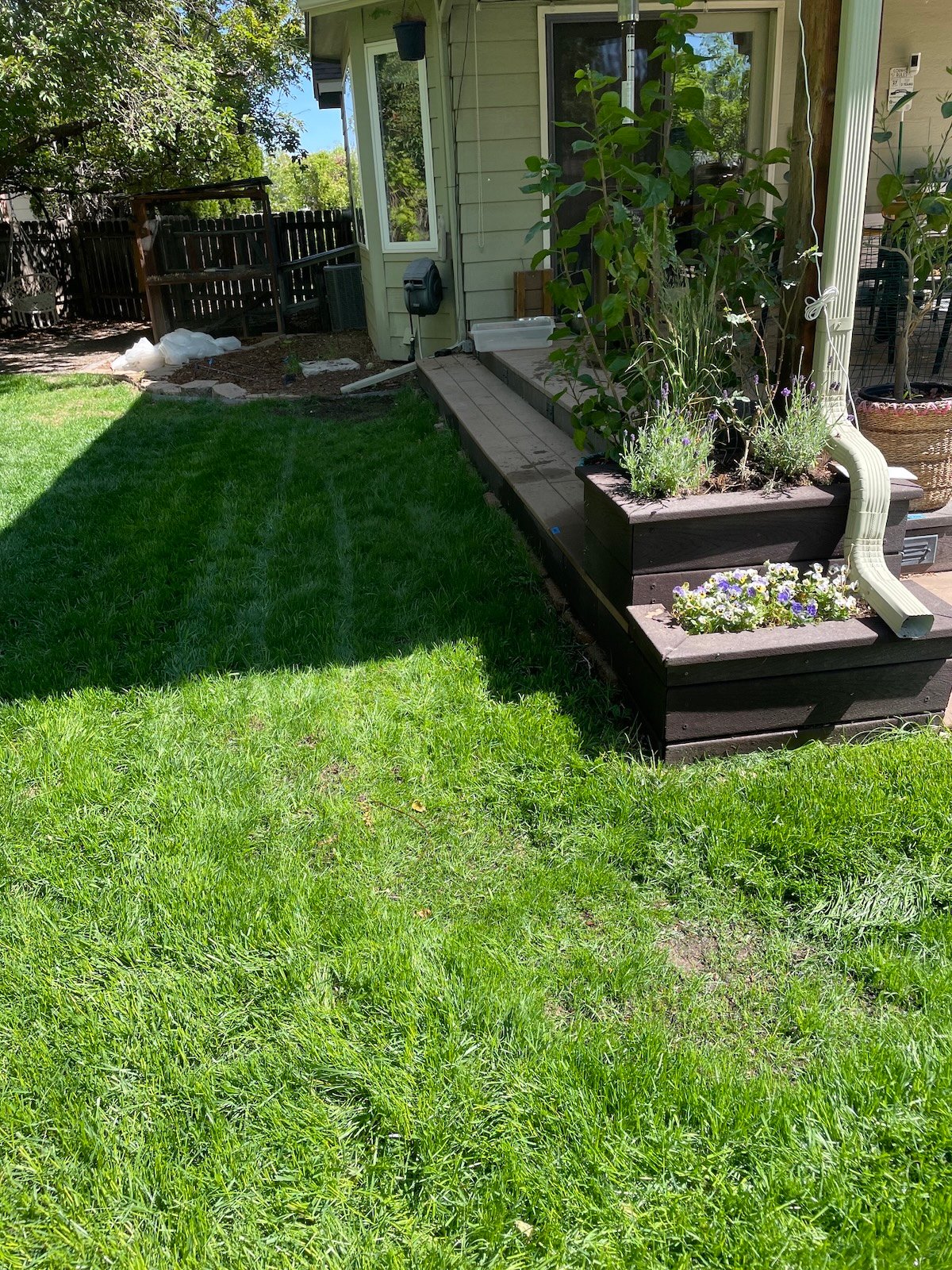 shady side after 1 month