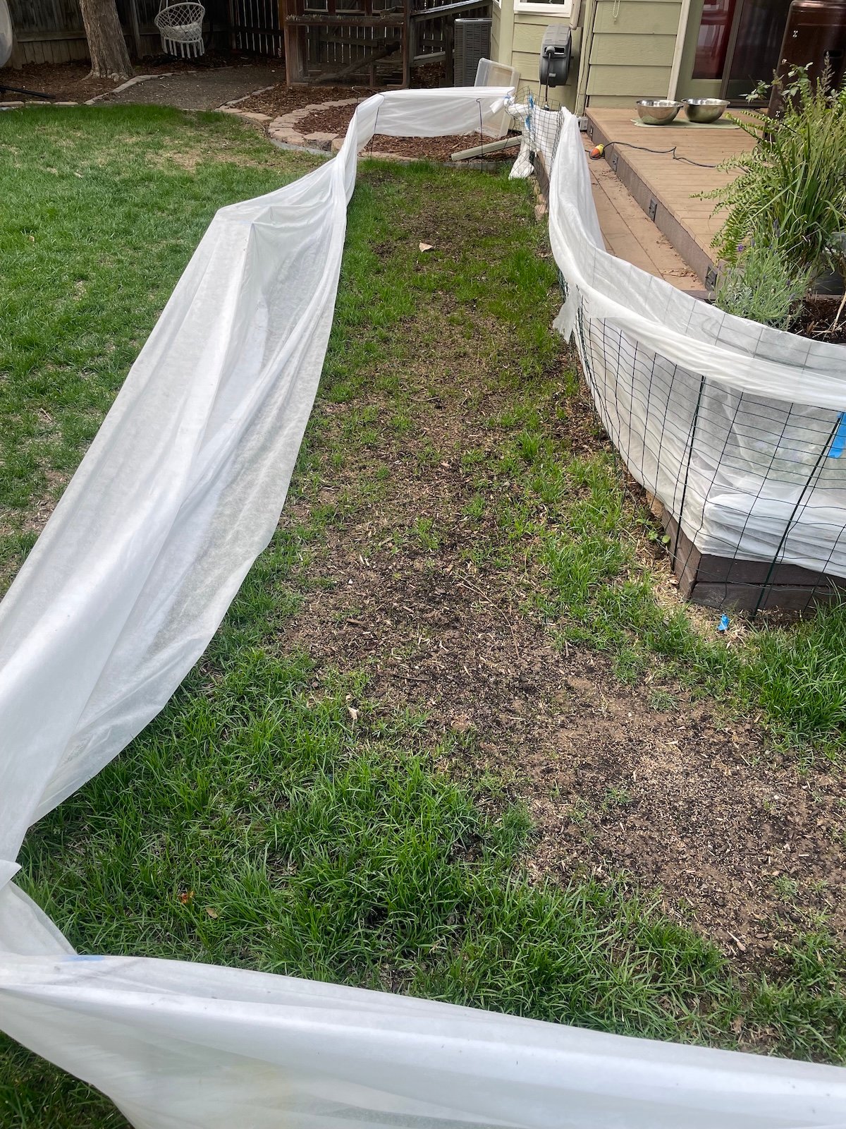 shady side after 2 weeks
