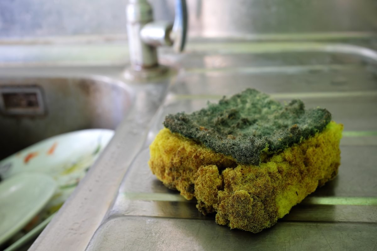 Worn out, stinky, dirty and moldy kitchen sponge next to a sink.