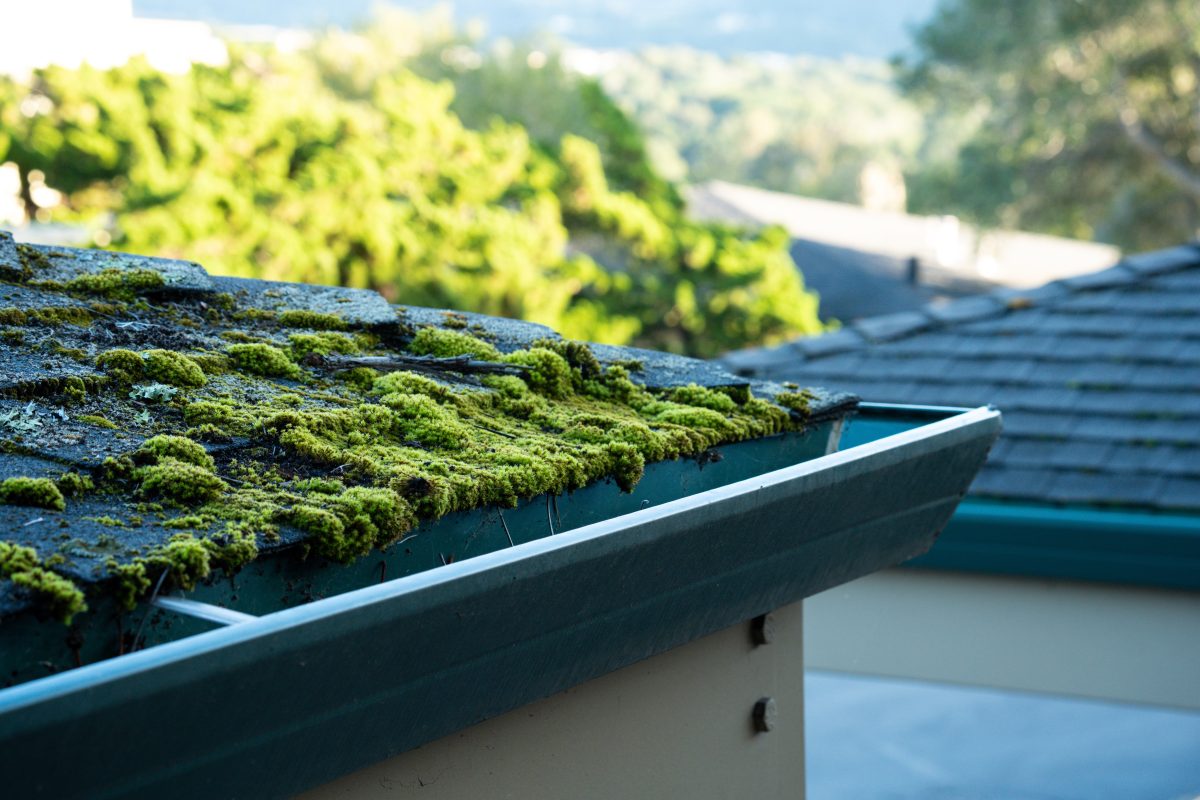 Never Cleaned Your Roof? Read This