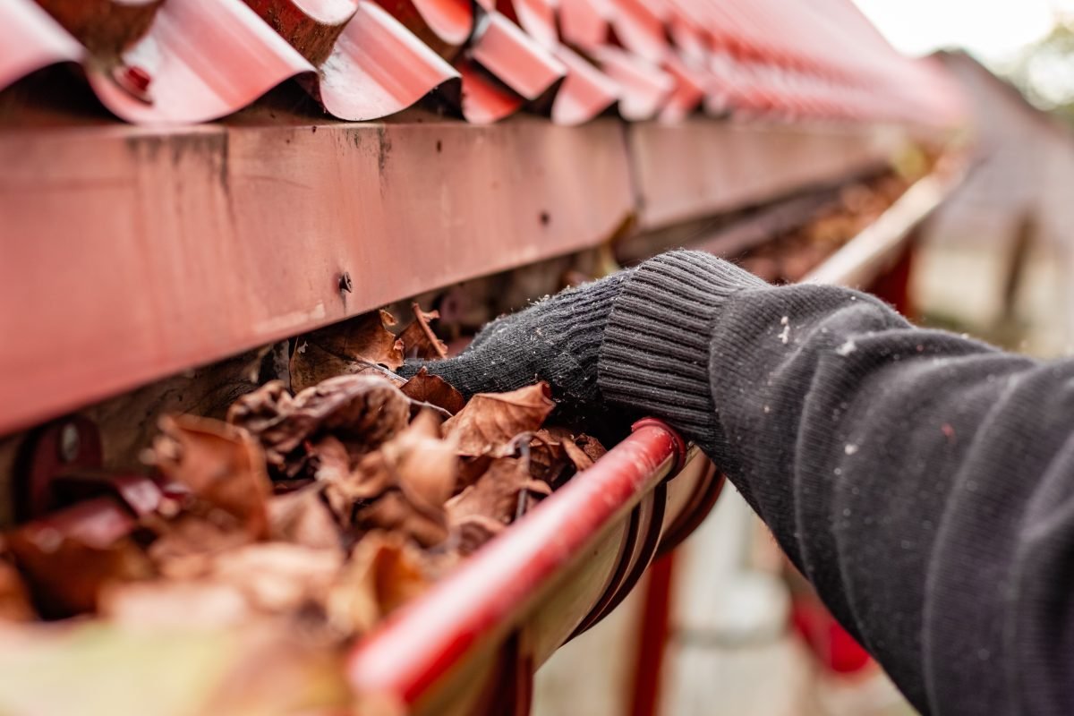 A gloved hand reaching into a roof gutter filled with autumn leaves.