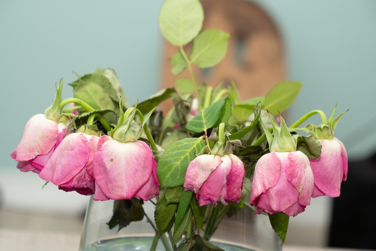 A vase of dying flowers on a table.