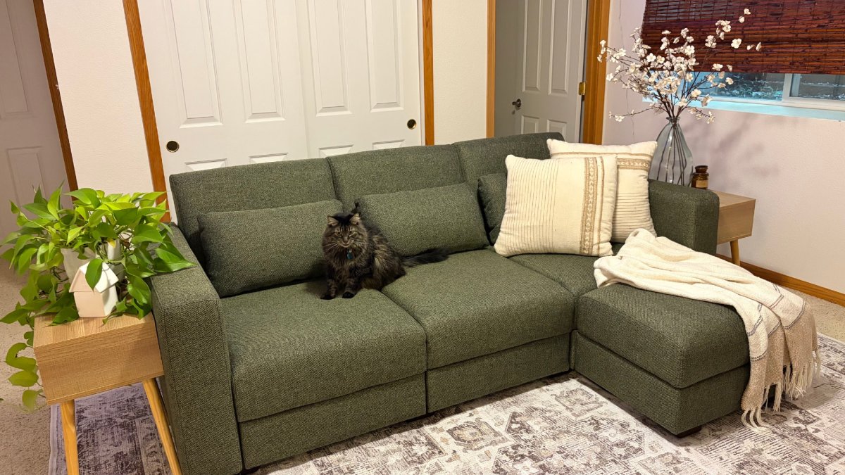 Cozey Neptune Sleeper Sofa and Gabrielle Washable Rug with cat