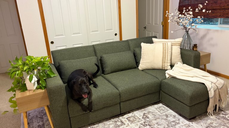 Cozey Neptune Sleeper Sofa and Gabrielle Washable Rug with dog