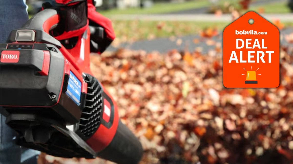 Lowe’s Labor Day Sale Drops Leaf Blowers Up to 60% Off—Save on Toro, Ego, Kobalt, and More 