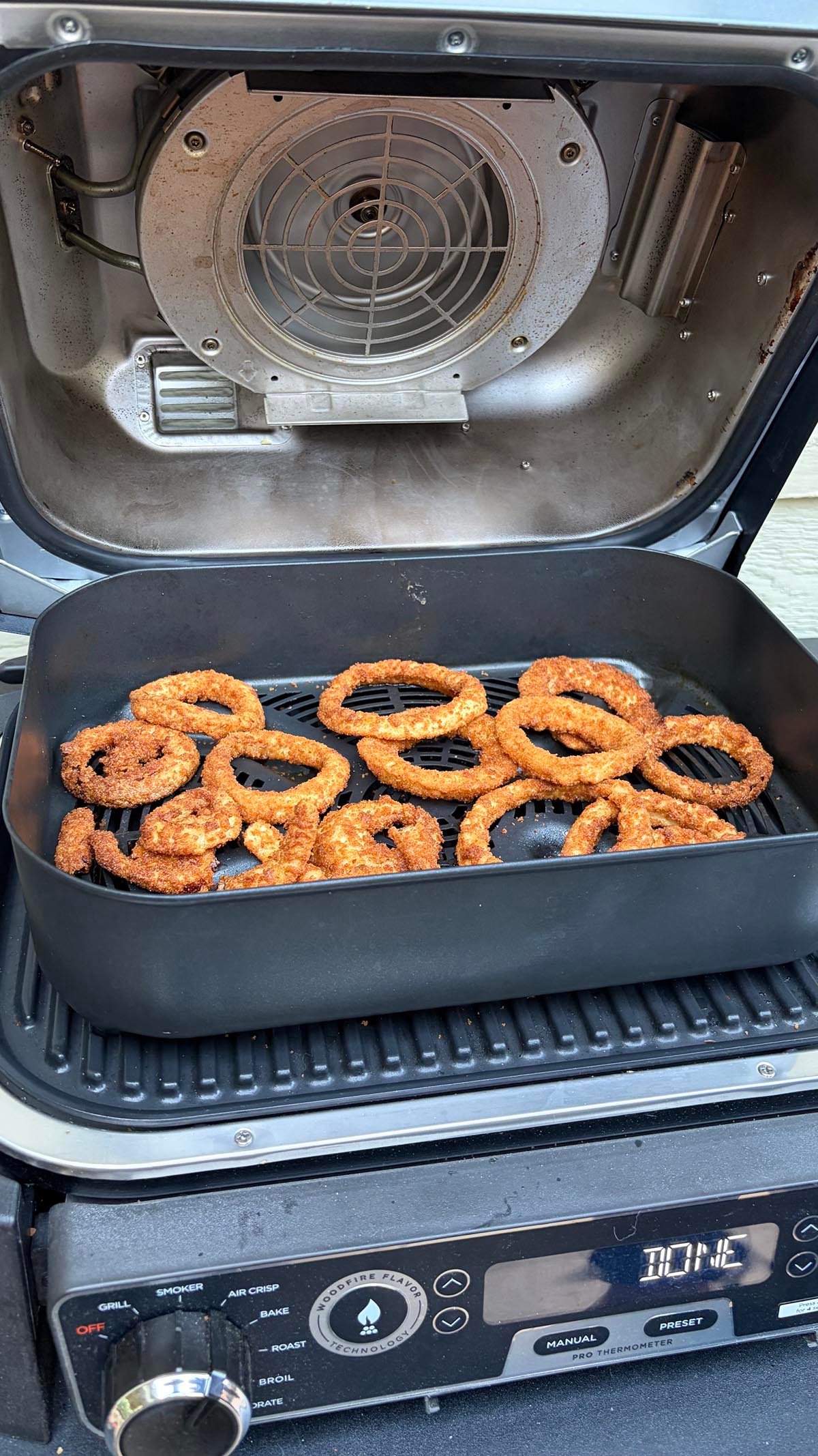 Ninja OG751 Woodfire Pro with air fried onion rings