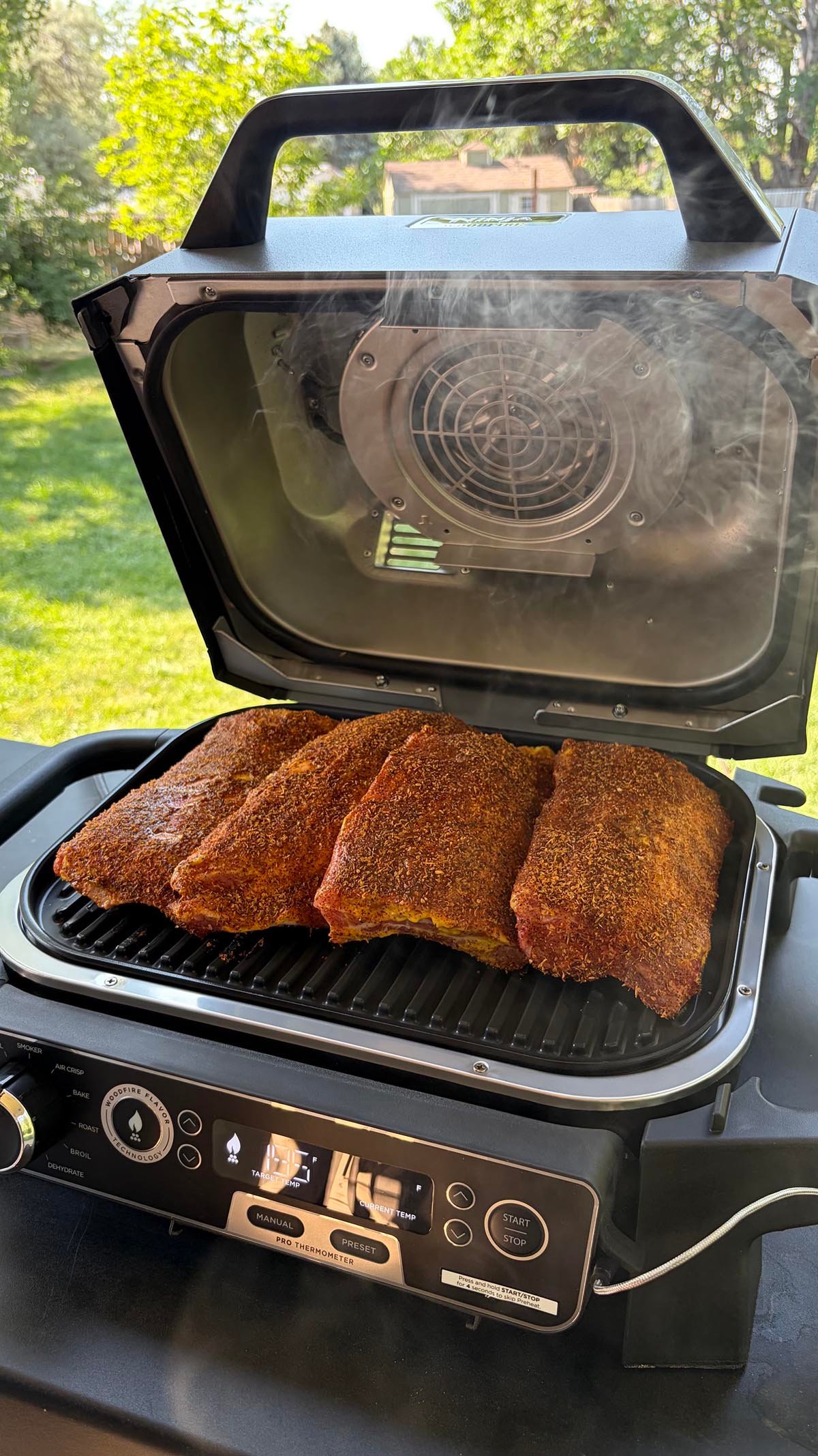 Starting to smoke ribs on the Ninja OG751 Woodfire Pro