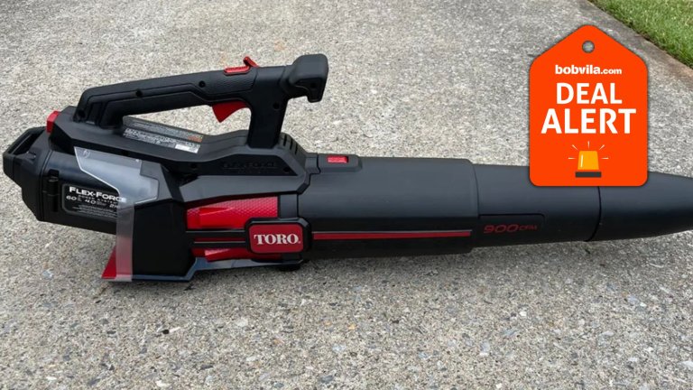 Lowe's Drops Our Favorite Toro Leaf Blower Nearly 40% Off Ahead of Labor Day