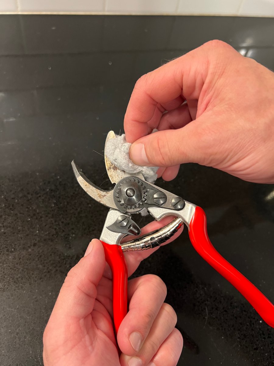 Using dryer lint to clean and lubricate pruners.