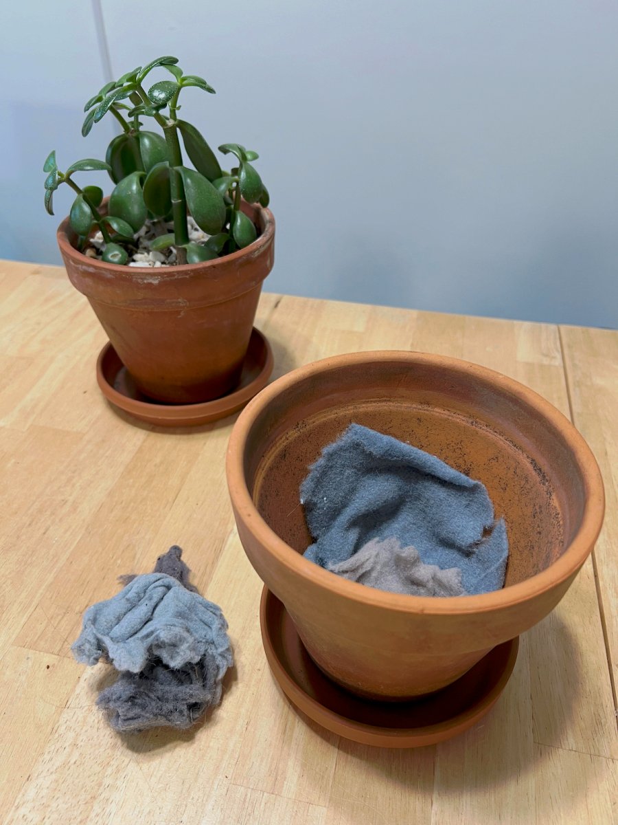 Dryer lint lining the bottom of a small planter.
