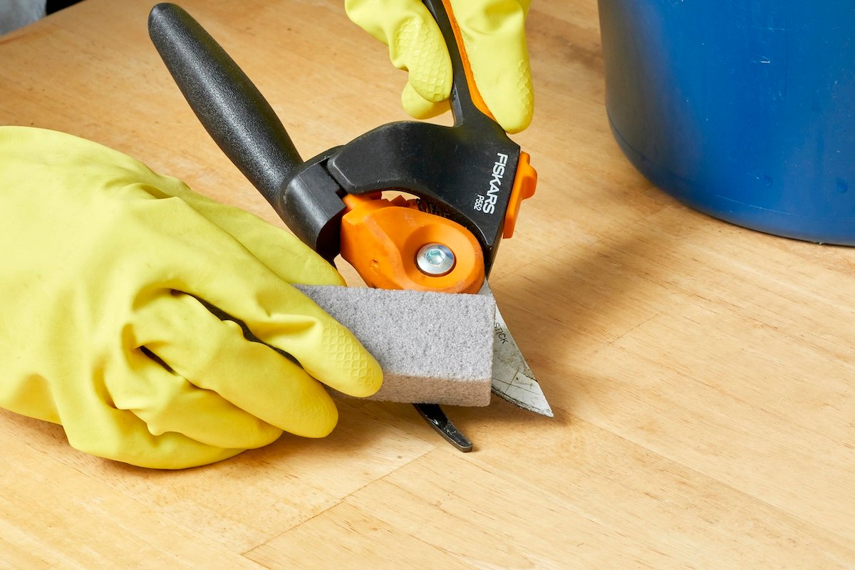 A DIYer using a pumice stone to remove rust from metal pruners.