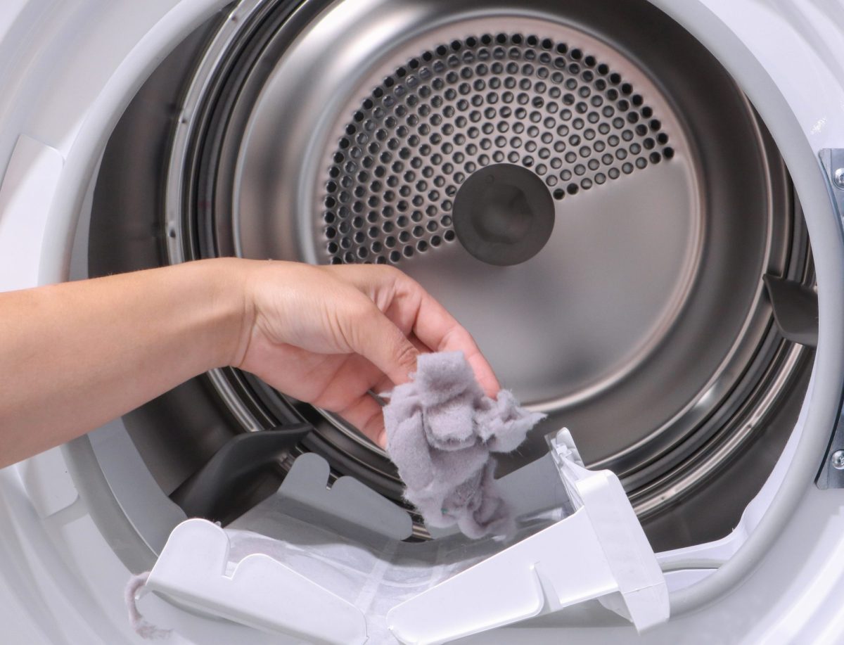 6 Brilliant Ways to Use Dryer Lint Around Your Home and Garden